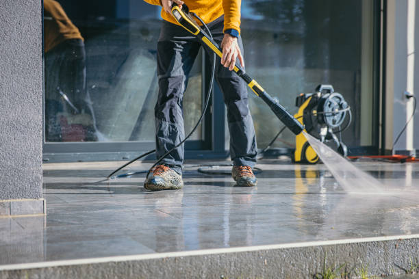 Best Exterior Home Cleaning  in Alorton, IL