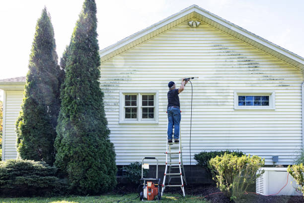 Best Garage Pressure Washing  in Alorton, IL