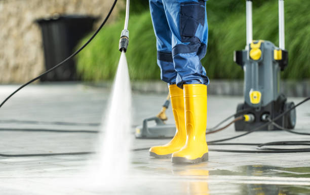 Best Roof Pressure Washing  in Alorton, IL