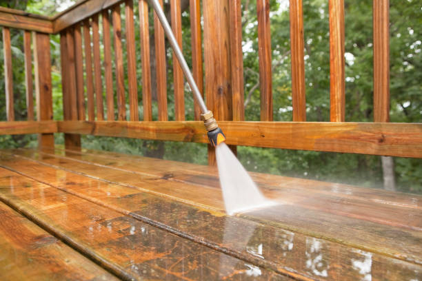 Best House Pressure Washing  in Alorton, IL